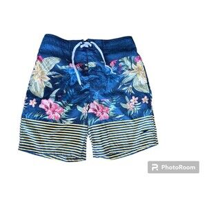 Speedo Mens Swim Trunks Large Blue Yellow  Board Shorts Pockets Lined Casual‎